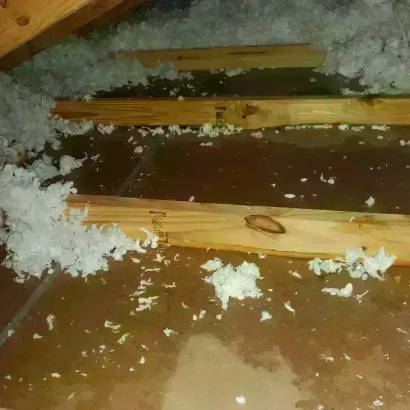 Attic Water Damage in Fayette, MO